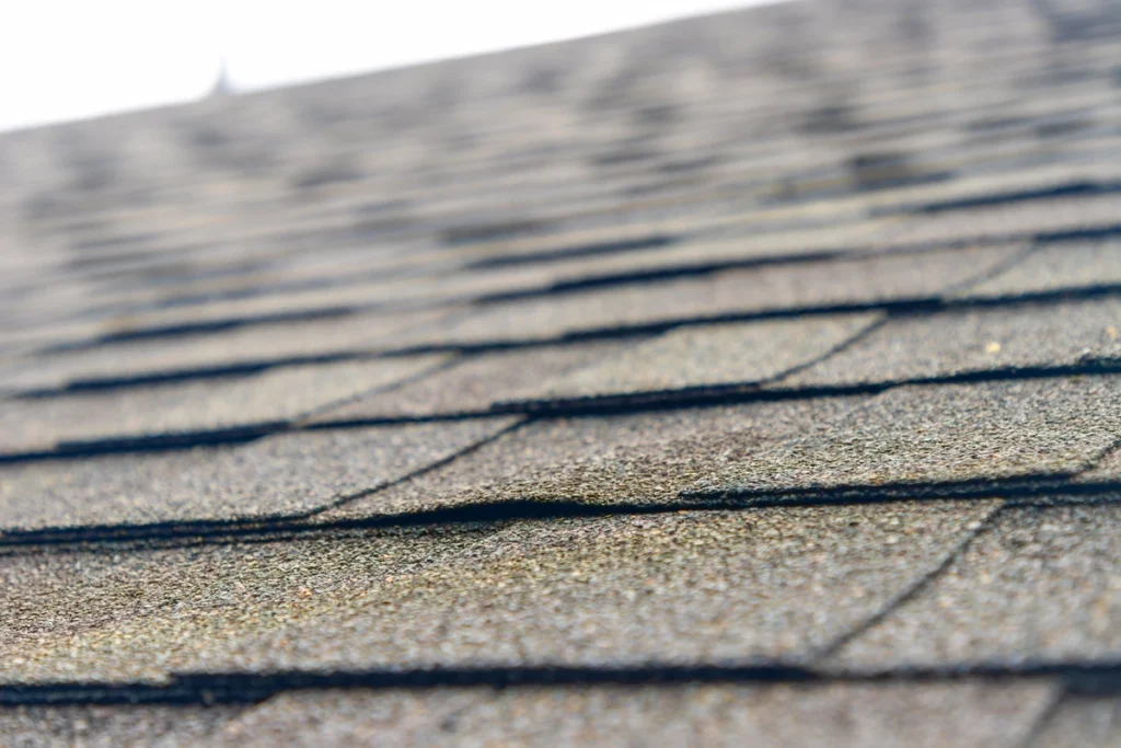 Close up of shingles in need of cleaning due to granule decay