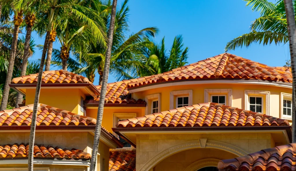 florida home palm trees roof